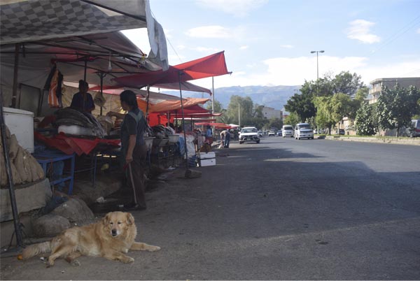 La venta de pescado no siempre es muy higiénica