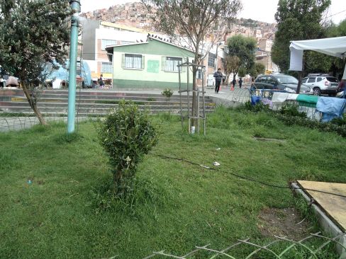 Áreas verdes de Villa Fátima parecen basureros