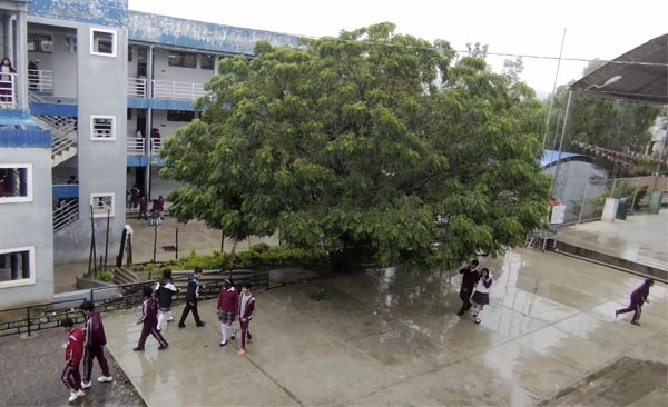 En la unidad educativa Ismael Montes, el jardín es una prioridad
